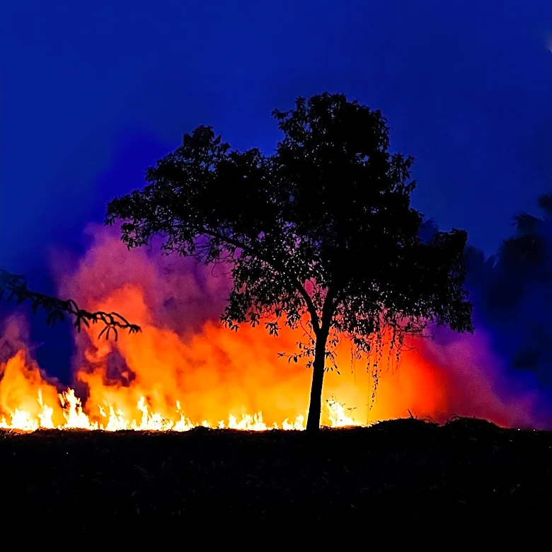 Wildfires in Washington State Force Evacuations and Destroy Hundreds of Structures
