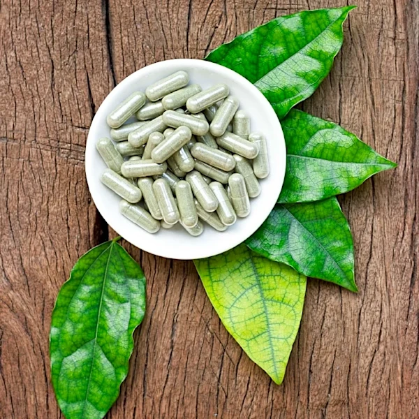 Prebiotic Supplements Show Potential in Relieving Knee Arthritis Pain