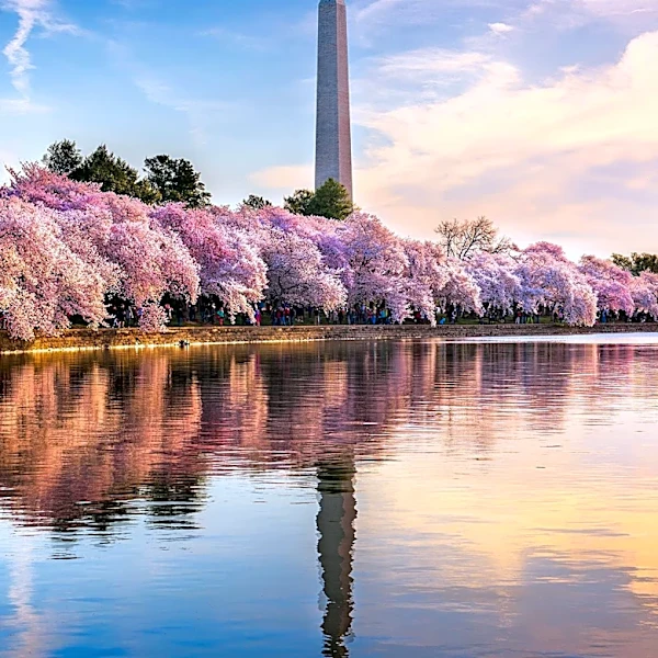 D.C. Region Faces Water Supply Concerns Despite Recent Rainfall