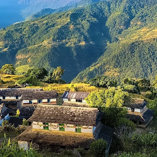 25 Tourists Die of Altitude Sickness in Annapurna Region Over a Year