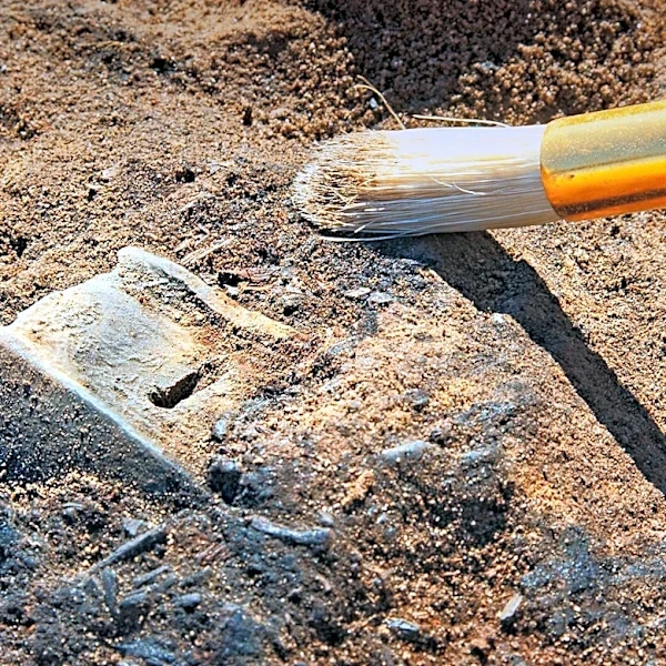 Research Suggests Up to 1% of Human DNA May Originate from Unknown Ancestral Lineage