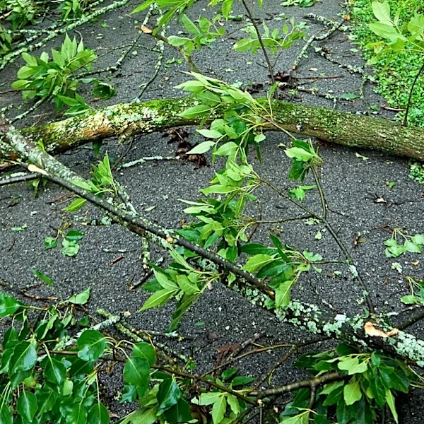 Connecticut Regulators Reduce Eversource's Storm Cost Recovery Request