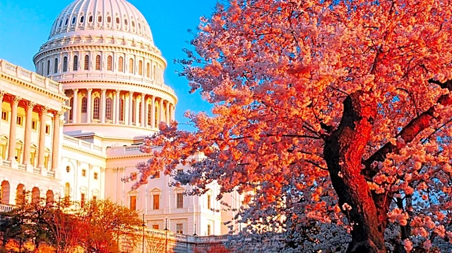Congressional Leaders Introduce Bill to Boost AI in Pediatric Cancer Research