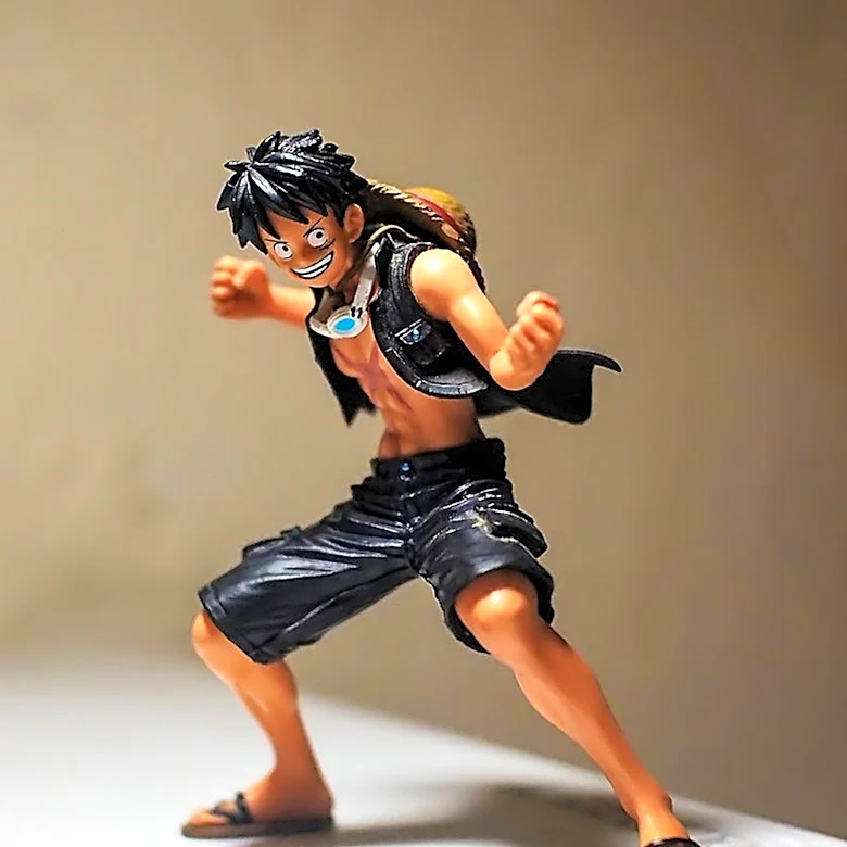 New Beetle Genus Named After Anime Character Luffy for Its Stretchy Features