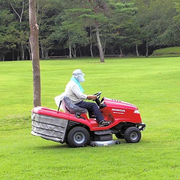 Tragic Accident: Woman Dies After Lawnmower Overturns in Mansfield Creek