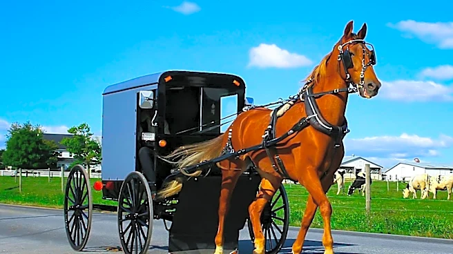 Charleston Carriage Accident Injures Two After Horse Startled by Truck