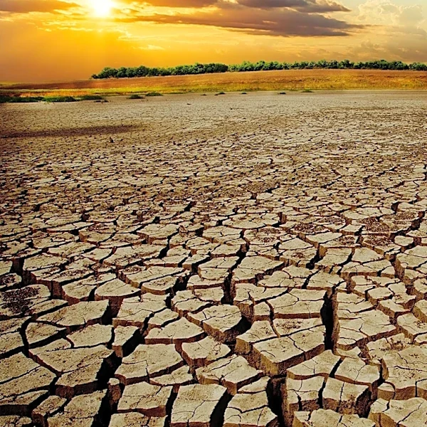Class Divide in Climate Politics: Challenges and Opportunities
