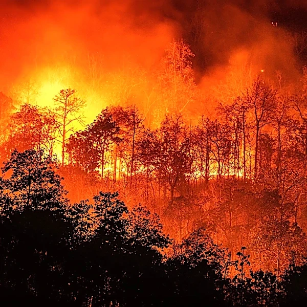 Washington Wildfires: Suspect Arrested as Over 700 Buildings Destroyed