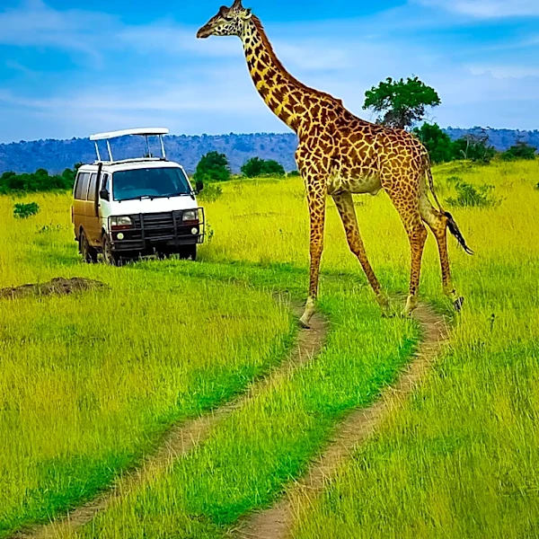 Kenya's New Insurance Rule for Tourists Raises Concerns Over Tourism Impact