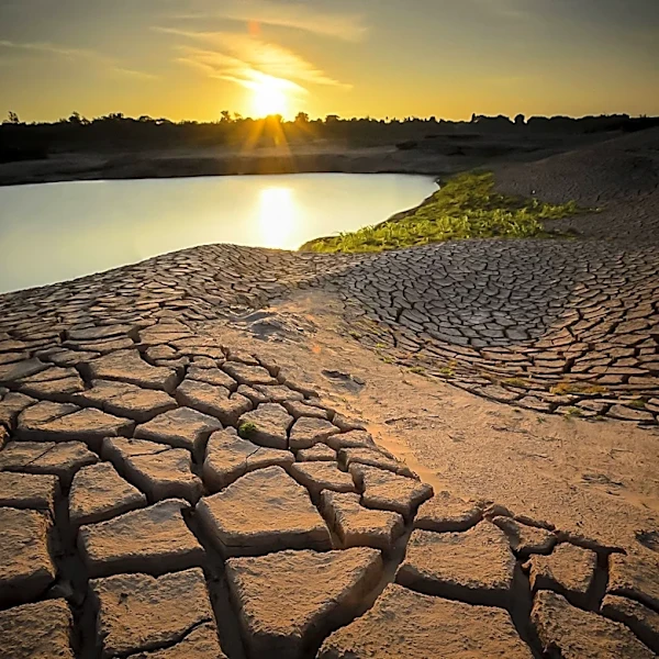 Drought Conditions Lead to Massive Fish Die-Off at Boyd Lake State Park