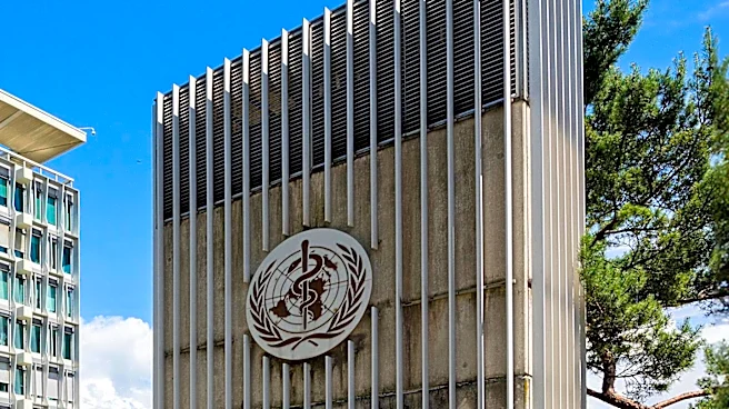GiveWell's New Research Initiatives Aim to Expand Global Health Impact
