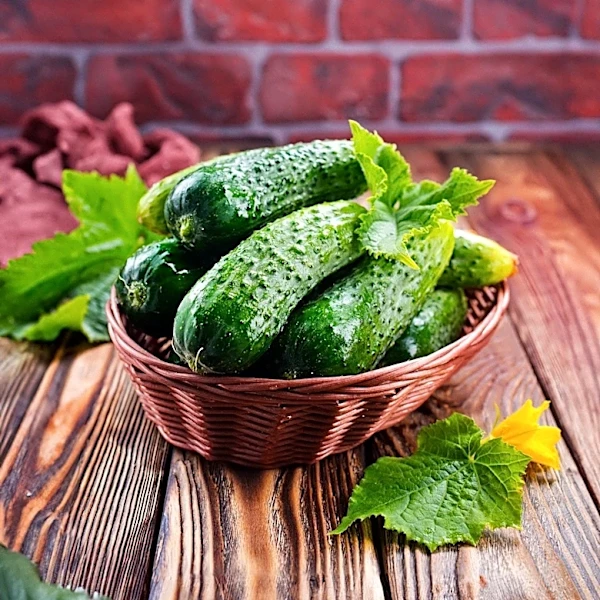 University of Tennessee Enhances Farm-to-Table Initiative with Campus Dining