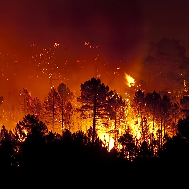 Red Cross Mobilizes Support for Spokane Wildfire Evacuees Amid Ongoing Crisis