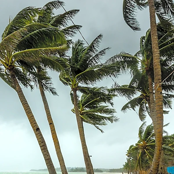 Typhoon Dolphin Reintensifies to Category 4, Approaching Okinawa