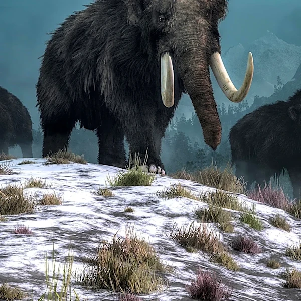 Ancient North American Mammals Diversified in Mexico Before Moving to South America