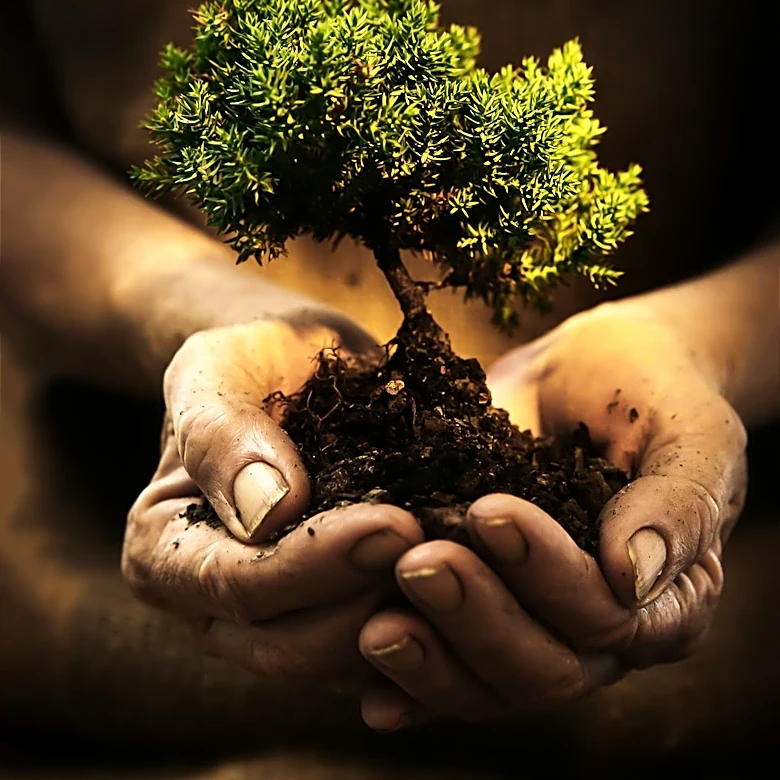 Ethiopian Prime Minister Abiy Ahmed Announces Record Tree Planting for Environmental Restoration