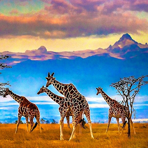 U.S. Congressional Delegation Explores Tourism and Conservation Partnerships in Kenya