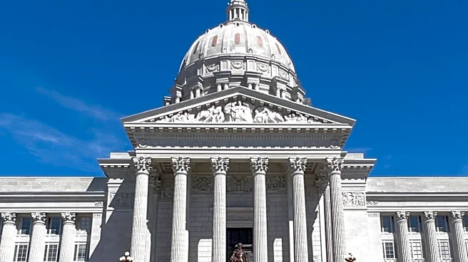Wesley Bell and Cori Bush Face Off in Missouri 1st Congressional District Primary