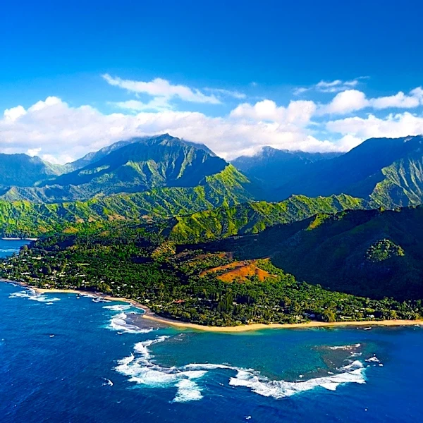 U.S. Representative Ed Case Introduces Bill to Combat Invasive Species in Hawaii
