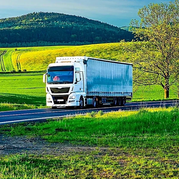 Trucking Coalition Reports 194,000 Non-Domiciled CDLs Affected by Carrier Reforms