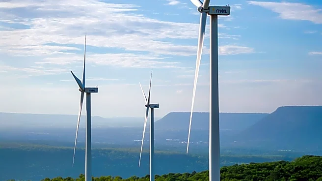 U.S. Senators Demand Restoration of Cancelled Energy Project Funds