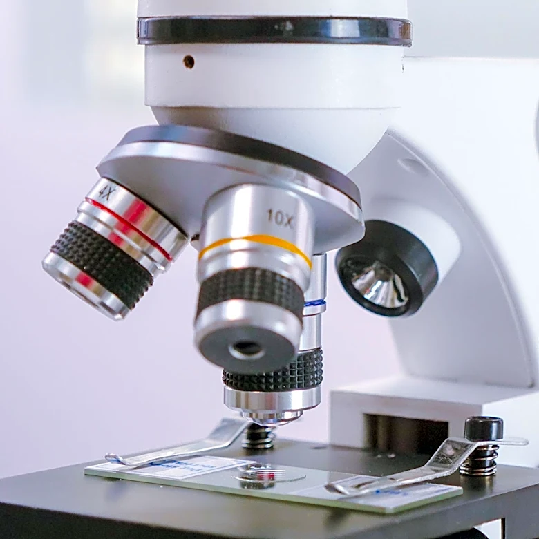 Open-Source Software Simplifies Analysis of Complex Tissue Images