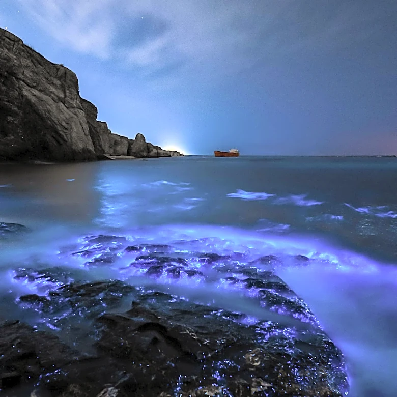 Closure of Strait of Hormuz Raises Concerns Over Potential Marine Bioinvasion