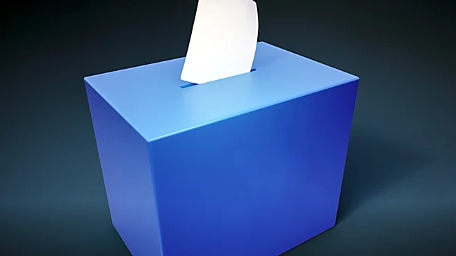 Michigan Voters Express Economic Concerns and Desire for Change in Primary Election