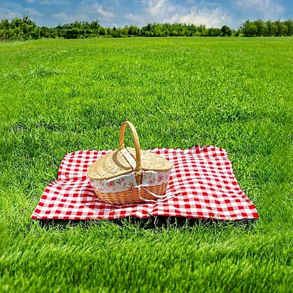 Fancy Farm Picnic Highlights 2027 Governor Race as Michael Adams Supports James Comer