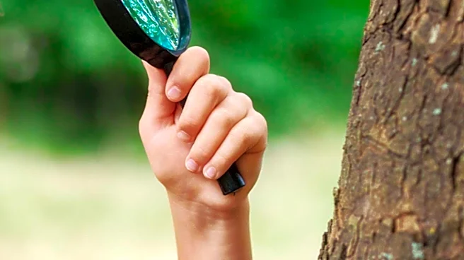 Investigation Underway After Multiple Tree Poisonings at Burnt Cedar Beach