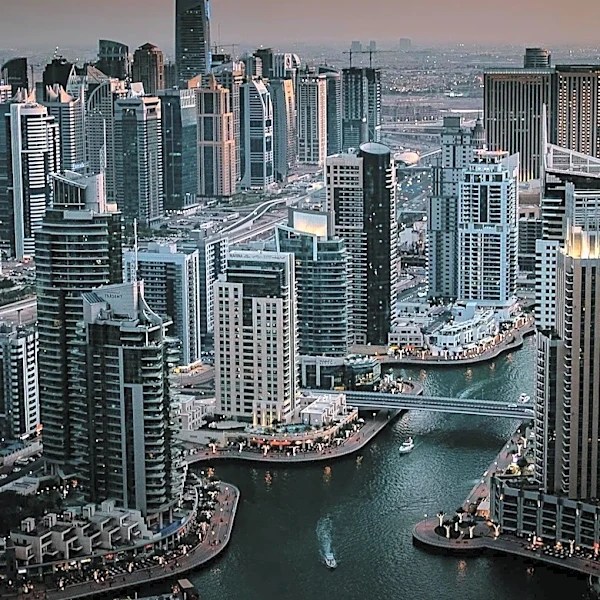 UAE-Led Operation Results in Over 800 Arrests for Environmental Crimes in Amazon