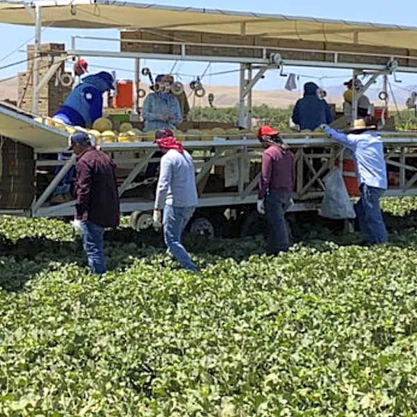 Utah Senator Proposes State-Led Migrant Worker Program Amid Labor Shortages