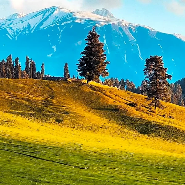 Mt. Hood Meadows Under 'Go Now' Evacuations Due to Grasshopper Fire