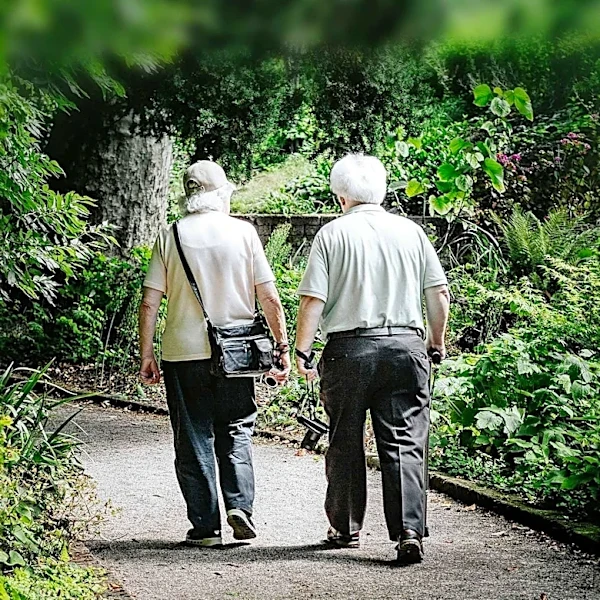 Study Reveals Genetics Alone Do Not Explain SuperAgers' Cognitive Abilities