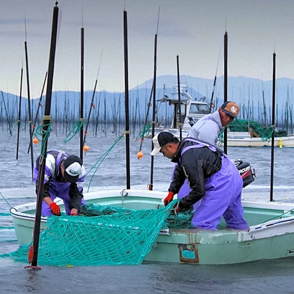 Brazil Identifies Fish-Killing Pathogens, Urges Enhanced Aquaculture Surveillance
