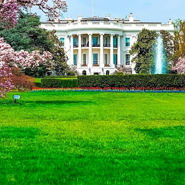 President Trump's Alternative Facts Clash with Reality Amid Reflecting Pool Controversy