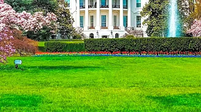 President Trump's Alternative Facts Clash with Reality Amid Reflecting Pool Controversy