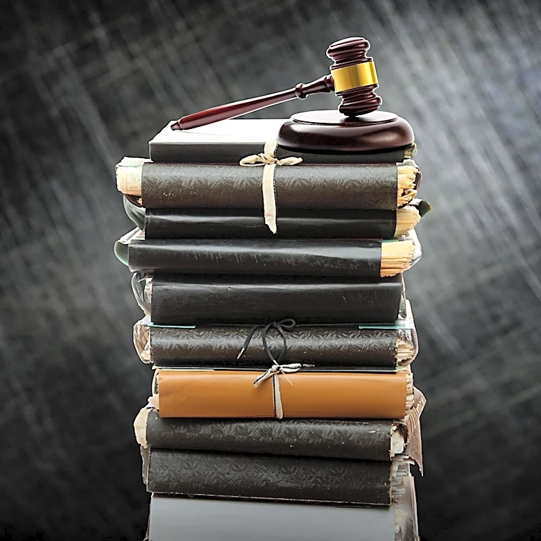 Federal Court Allows Enforcement of Florida's Protection of Children Act
