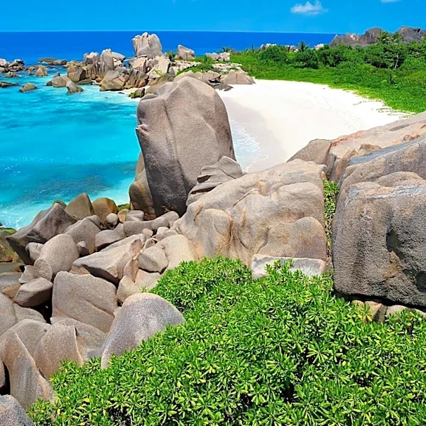 Seychelles Celebrates Golden Jubilee with Space Commemoration
