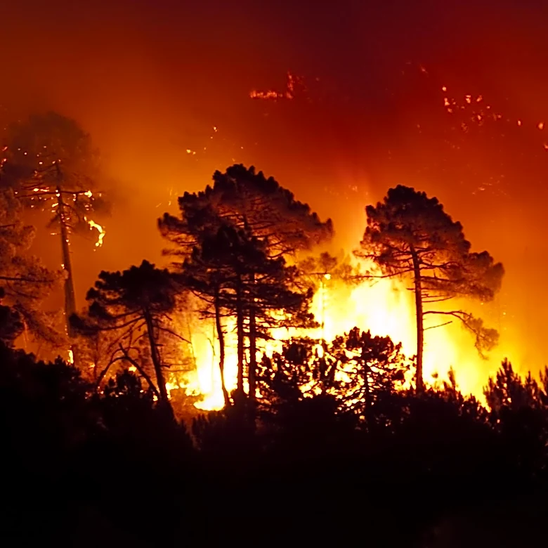 Utility-Backed Campaign Raises Concerns Over California Wildfire Liability Reforms
