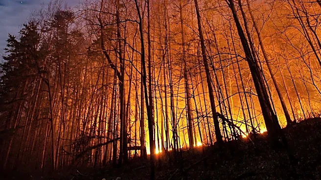 Spokane Wildfires Force Mass Evacuations and Arrest Made for Arson