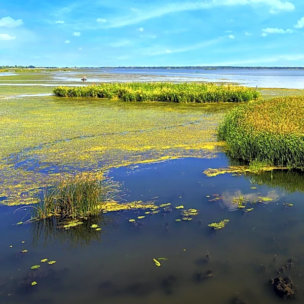 Phil Scott Administration Advances Wetlands Rule Changes Amid Legislative Opposition