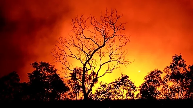 Gann Fire in Calaveras County Prompts School Closures and Evacuations