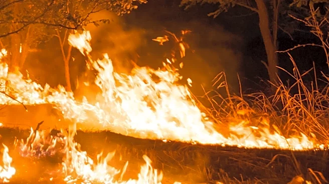 Montana DEQ Issues Air Quality Alert Amid Expanding Wildfires