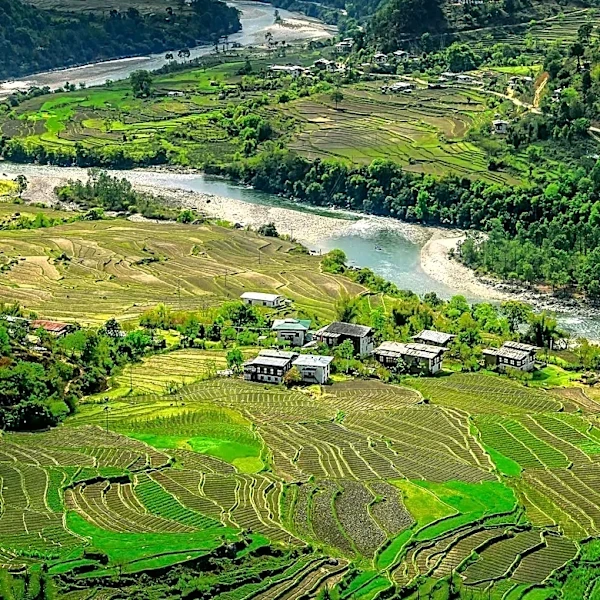 Nepal Government Introduces New Agriculture Policy to Boost Food Self-Reliance