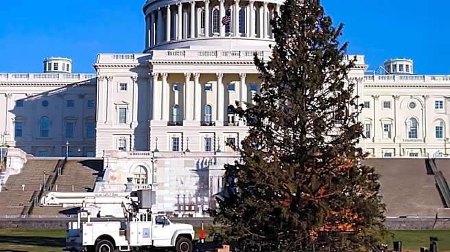 Rep. Tom Kean Jr. Faces Criticism Over Stock Transactions and Absence from Congress
