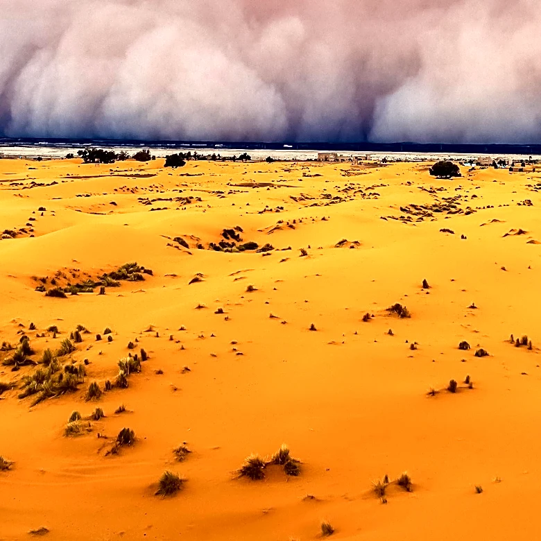 Arizona State University Reports Category 5 Dust Storm in Phoenix, Raising Health Concerns