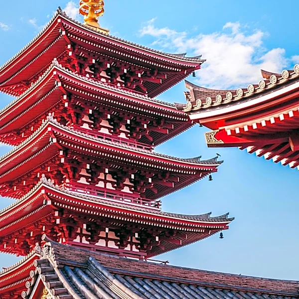 US-Japan Leadership Program Highlights Shared Challenges and Strengthens Bilateral Ties