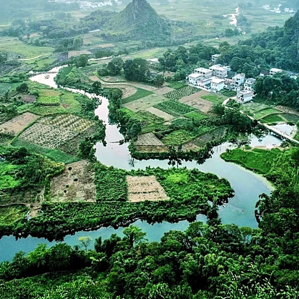 China Intensifies Crackdown on Organized Crime Targeting Illegal Mining