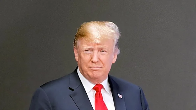 President Trump Embraces Role as Commentator-in-Chief Amid Political Challenges